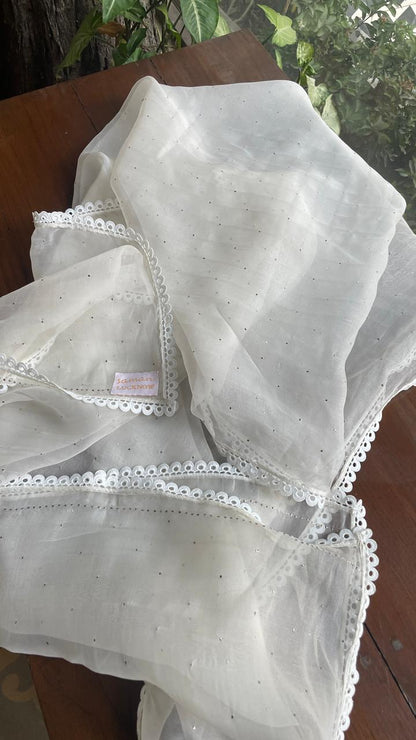 White Noor Organza Mukaish Kamdani Dupatta