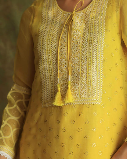 Yellow Mukaish Kamdani Noor Organza Chikankari Kurta Set