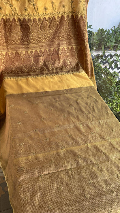 Yellow Chanderi Saree with Chikankari Embroidery & Banarasi Zari Border