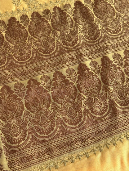 Yellow Chanderi Saree with Chikankari Embroidery & Banarasi Zari Border