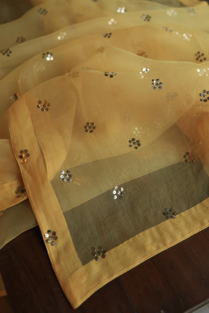 Yellow Shade Noor Organza Silk Chikankari Unstitched Kurta Dupatta Set