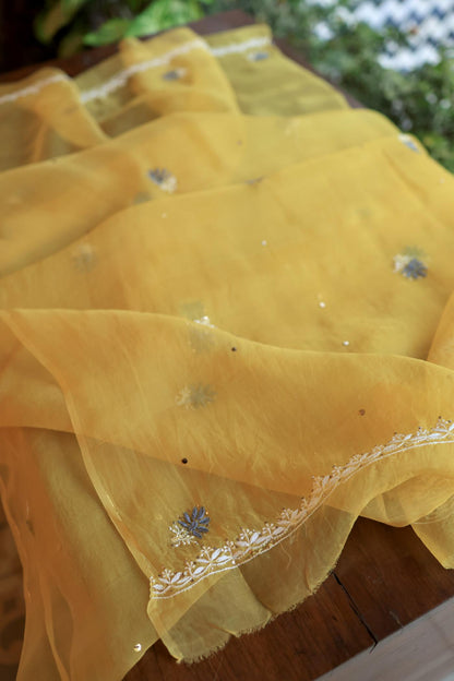 Yellow & Grey Noor Organza Silk Chikankari With Kamdani Fabric