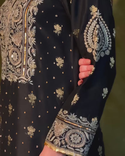 Black Banarasi Zari Chanderi Chikankari Sharara Set