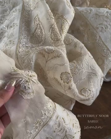 Noor Organza White Butterfly Chikankari Saree