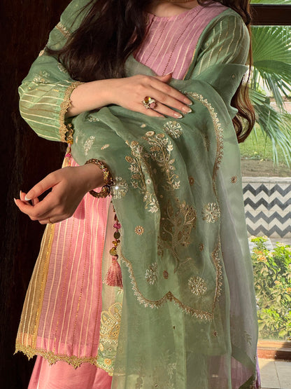 Multi Shade Kalidar Handloom Chikankari Farshi Sets