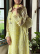 Chiffon Chikankari Sequinned Farshi Salwar with Potli Set