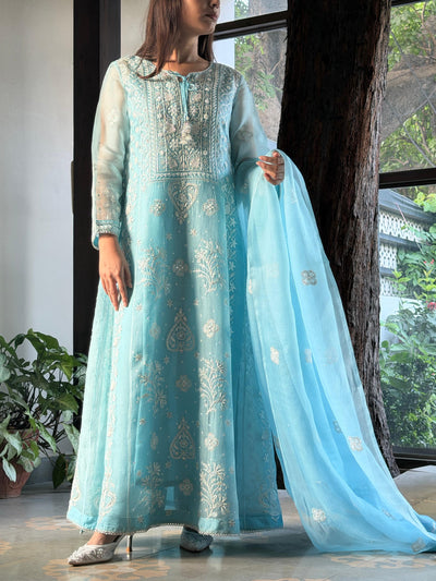 Ice Blue Noor Organza Chikankari Kalidar Set