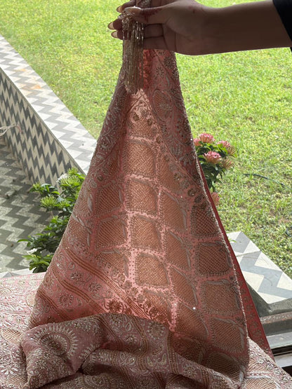 Soft Pink Heavy Organza Chikankari Saree With Blouse