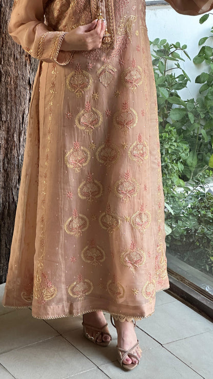 Almond Pink Noor Organza Chikankari A Line Kurta With Dupatta