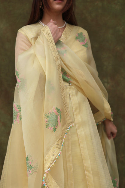 Lemon Shade Tissue Silk Dagla Kurta Set