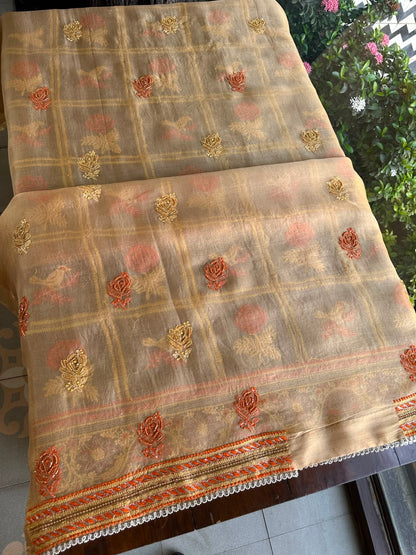 Dark Beige Organza Banarasi Silk Chikankari Unstitched Kurta Dupatta Set