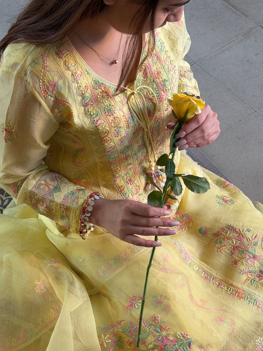Floral Yellow Multi Coloured Noor Organza Resham Chikankari Kurta Set