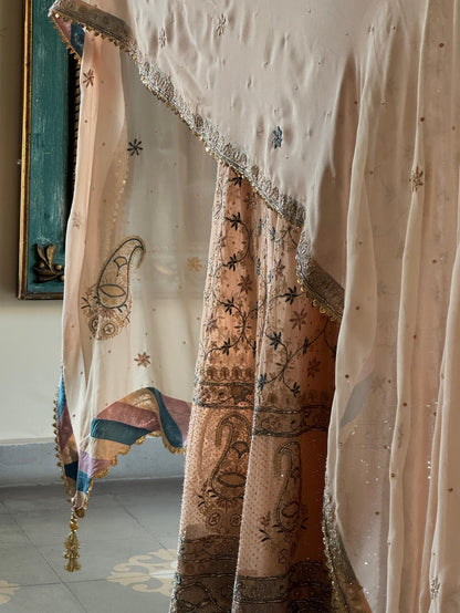 Tukdi Multi Colour Pure Georgette Chikankari Anarkali