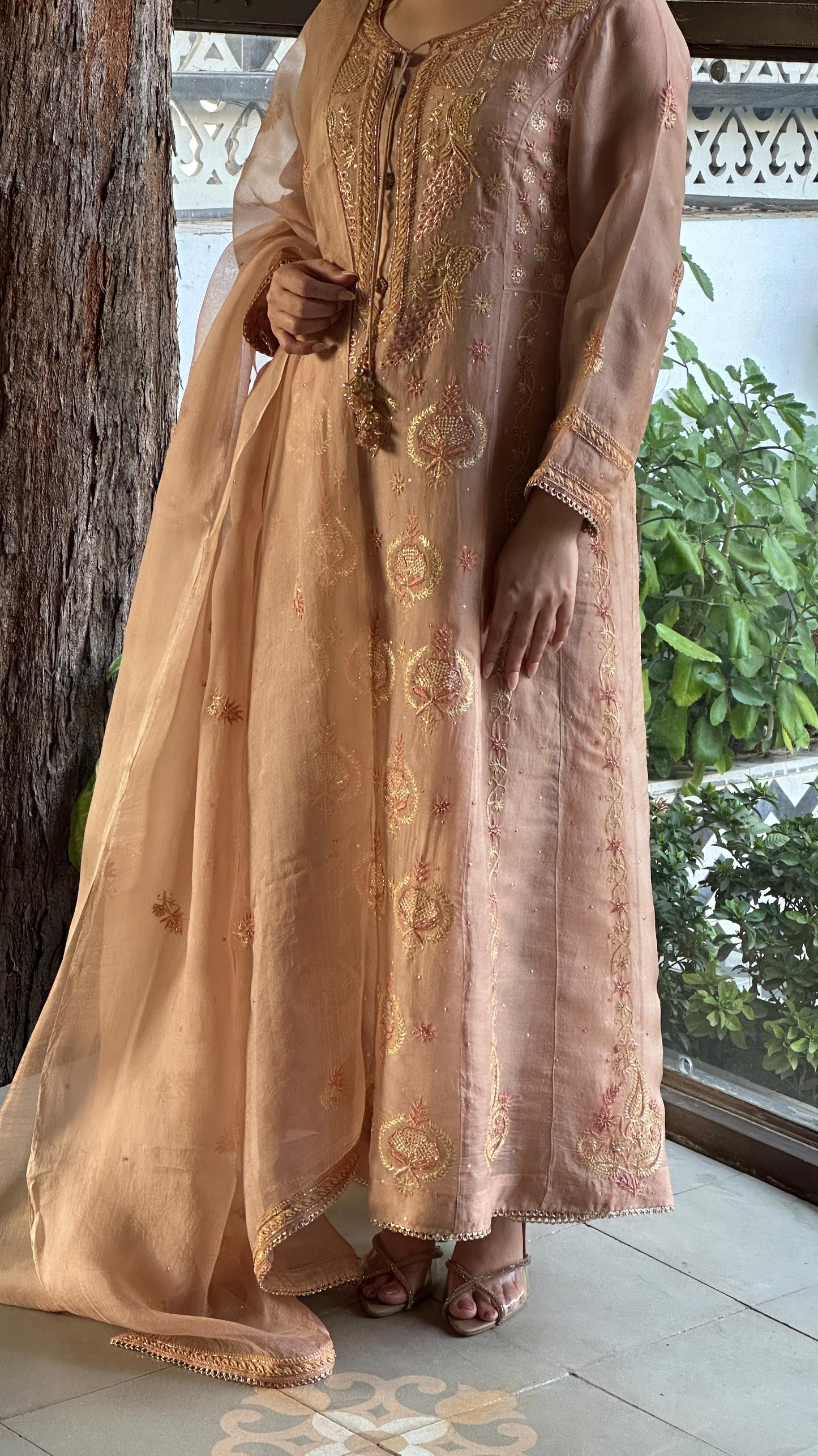 Almond Pink Noor Organza Chikankari A Line Kurta With Dupatta
