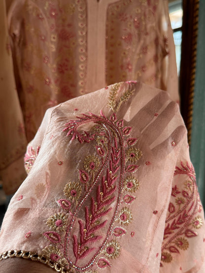 Pearl Peach Shade Noor Organza Chikankari A Line Kurta With Dupatta
