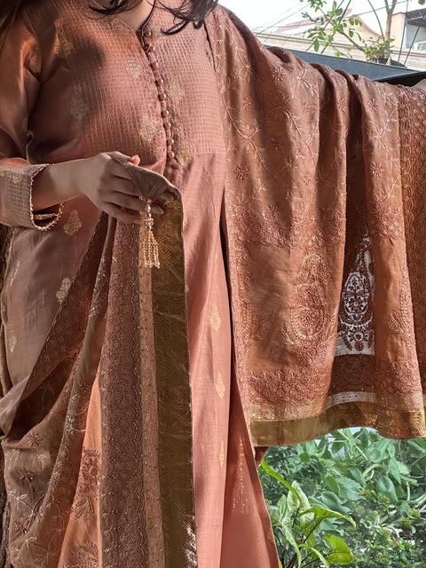 Heirloom Chikankari
Dupatta Dagla | Terracotta Pink