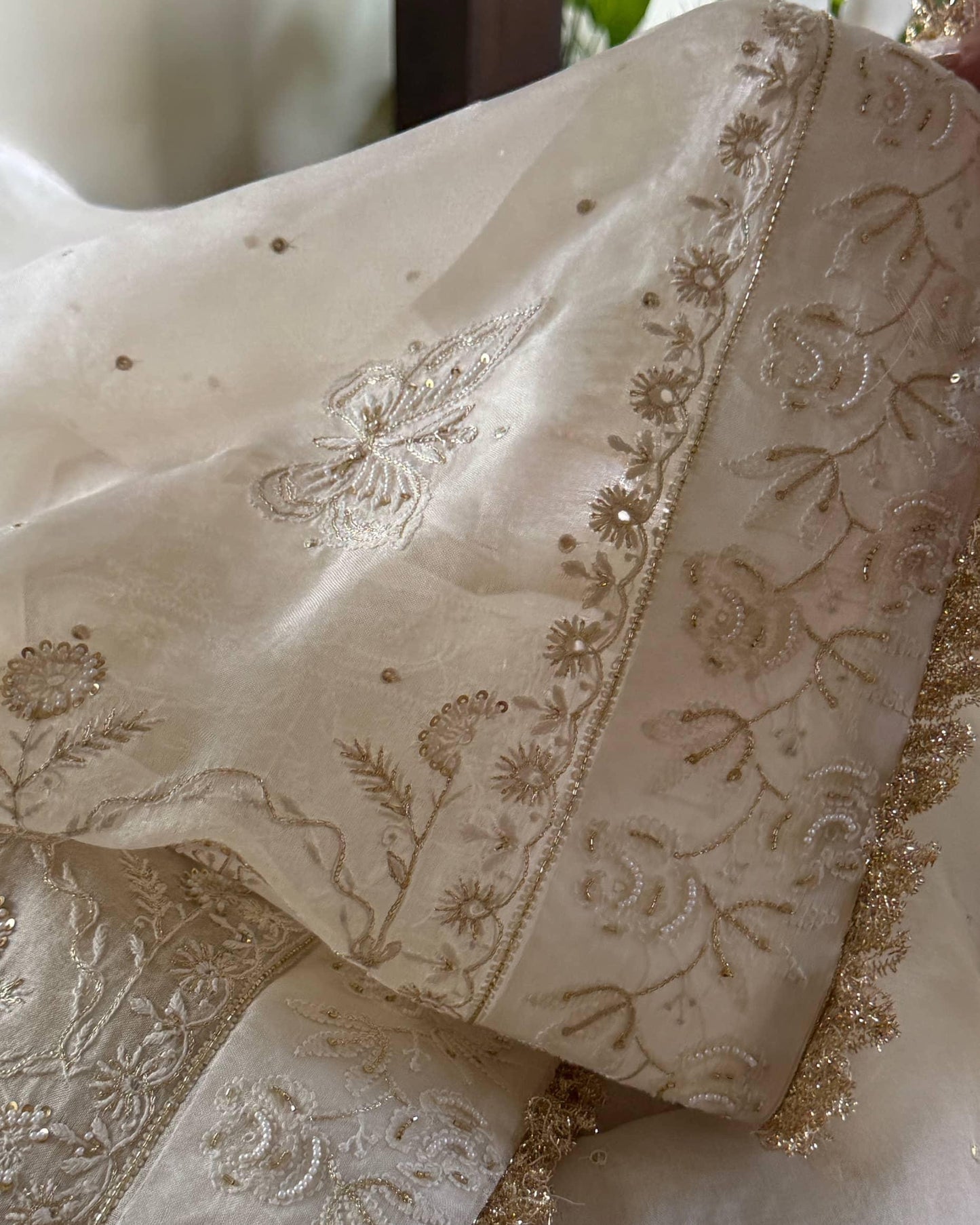 Noor Organza White Butterfly Chikankari Saree