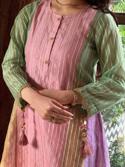 Multi Shade Kalidar Handloom Chikankari Farshi Sets
