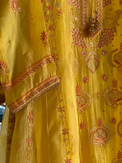 Saffron Mango Shade Noor Organza Chikankari Anarkali