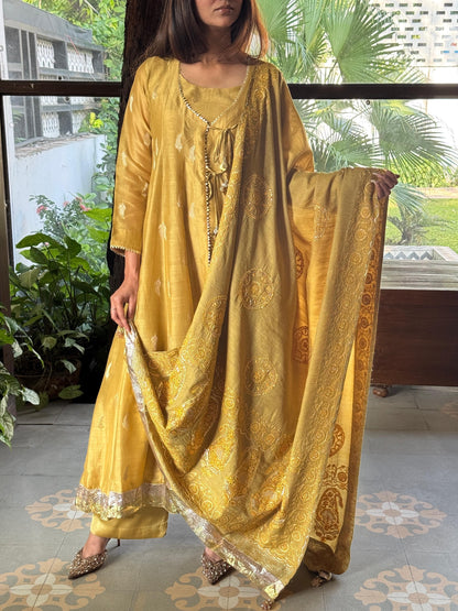 Zari Tissue Chikanakari Ari Heriloom Chikankari Dupatta Angarkha Set