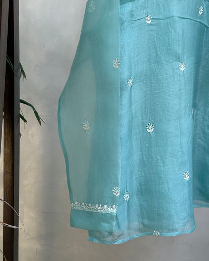 Powder Blue Noor Organza Bird Pattern Resham Chikankari Short Top