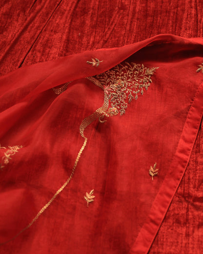 Red Maheshwari Silk Awadhi Zardosi Kurta Set