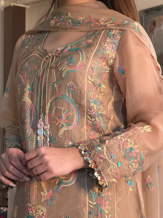 Biscuit Beige Multi Coloured Noor Organza Resham Chikankari Kurta Set