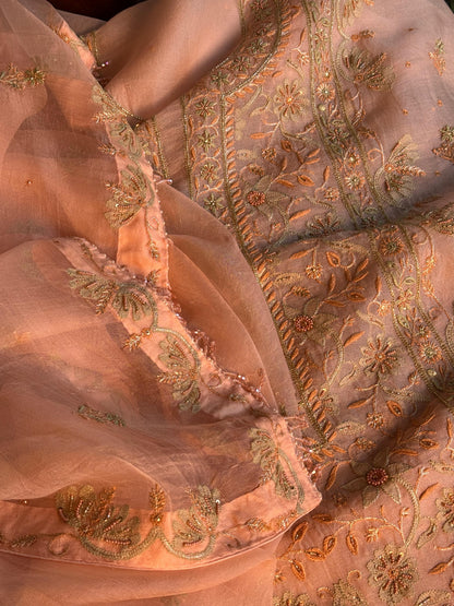 Floral Soft Peach Shade Noor Organza Chikankari Unstitched Fabric