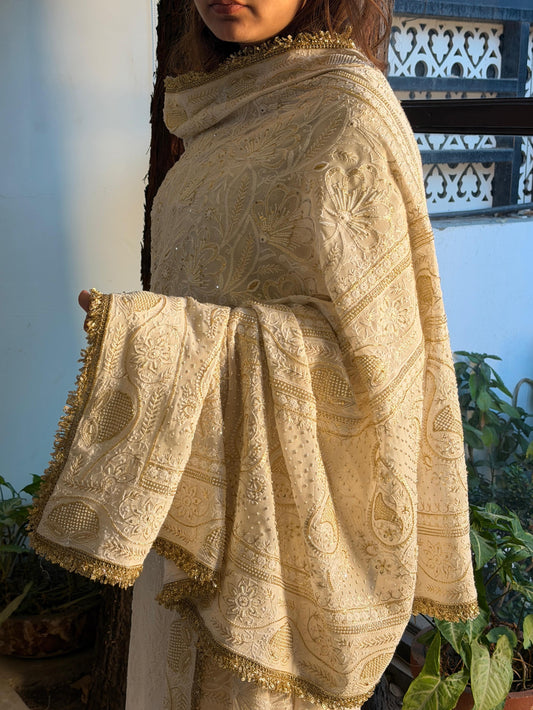 NASREEN | नसरीन | ناسرین - CHIKANKARI ODHANI