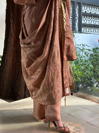 Heirloom Chikankari
Dupatta Dagla | Terracotta Pink