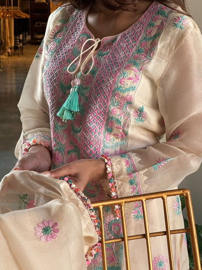 Noor Multi Coloured Chikankari Organza Kurta Set