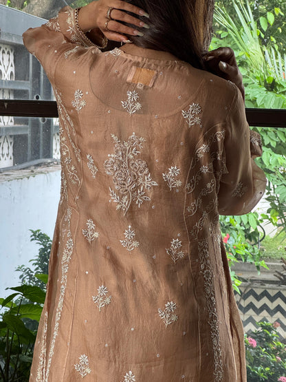 Beige Shade Noor Organza Chikankari Anarkali