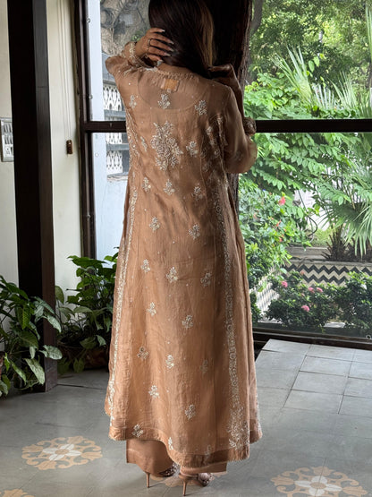 Beige Shade Noor Organza Chikankari Anarkali