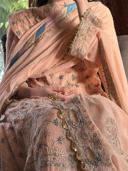 Tukdi Multi Colour Pure Georgette Chikankari Anarkali