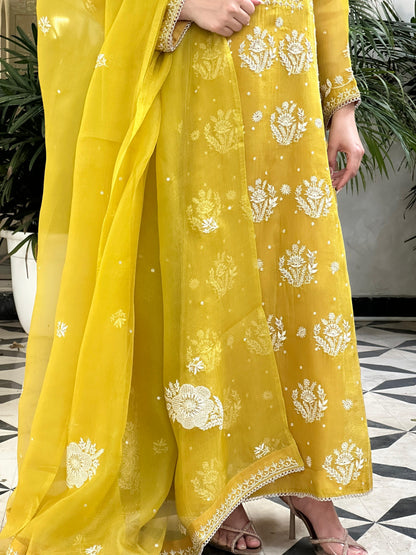 Yellow Noor Organza Chikankari Anarkali Kurta With Dupatta