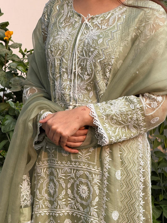Green Noor Organza Chikankari Anarkali Kurta With Dupatta