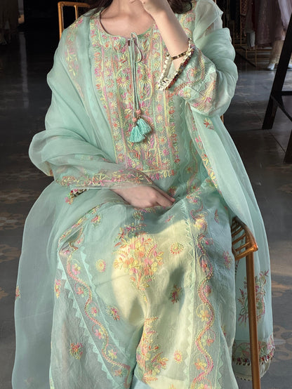 Mint Blue Multi Coloured Noor Organza Resham Chikankari Kurta Set