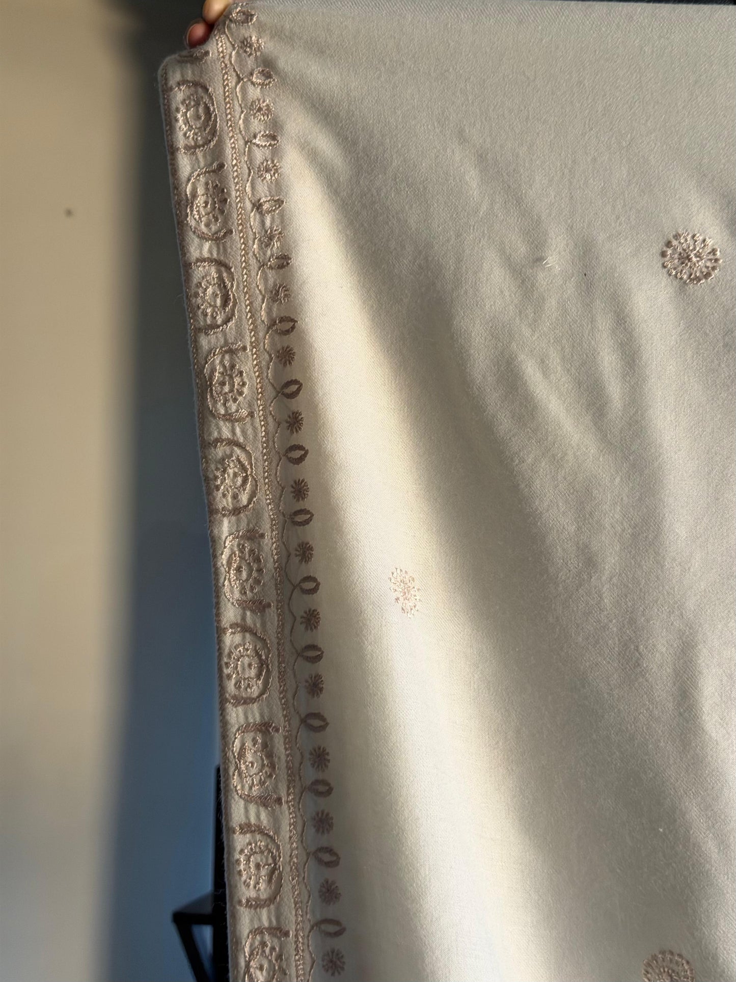 Natural Beige Shade Saman Pashmina Resham Thread Fine Chikankari Shawl