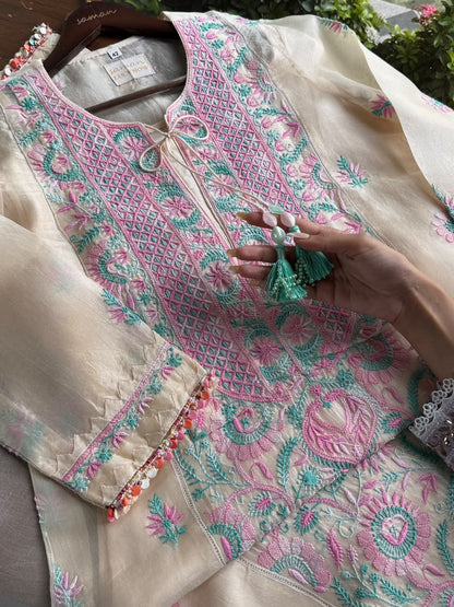 Noor Multi Coloured Chikankari Organza Kurta Set