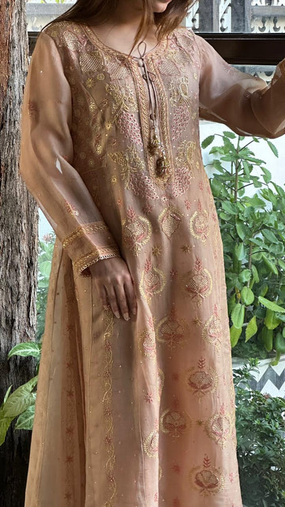 Almond Pink Noor Organza Chikankari A Line Kurta With Dupatta