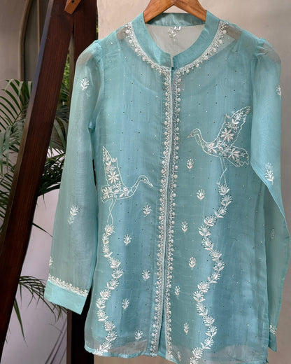 Powder Blue Noor Organza Bird Pattern Resham Chikankari Short Top