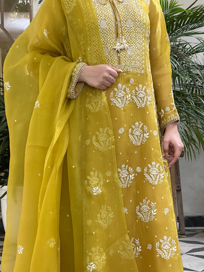 Yellow Noor Organza Chikankari Anarkali Kurta With Dupatta