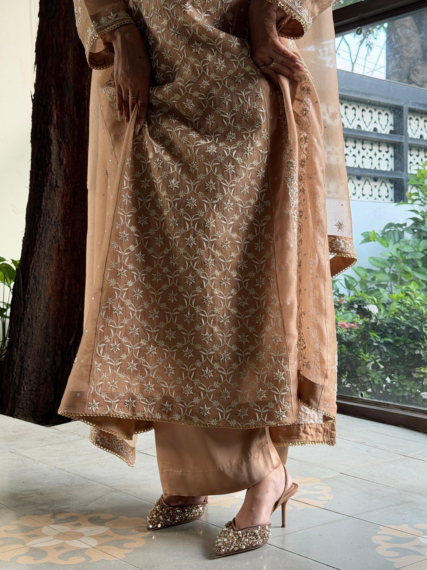 Beige Shade Noor Organza Chikankari Anarkali