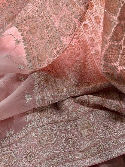 Soft Pink Heavy Organza Chikankari Saree With Blouse