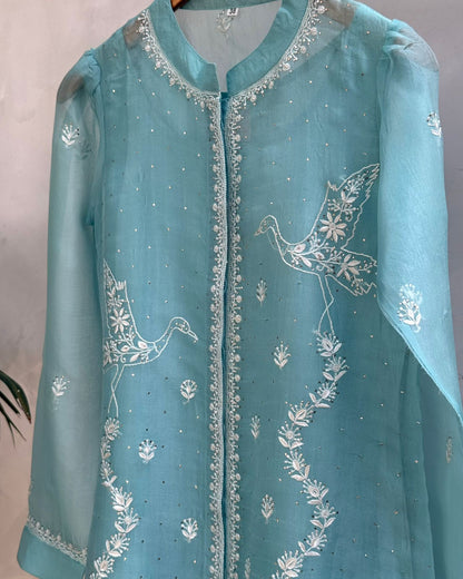 Powder Blue Noor Organza Bird Pattern Resham Chikankari Short Top