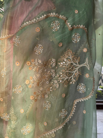 Multi Shade Kalidar Handloom Chikankari Farshi Sets