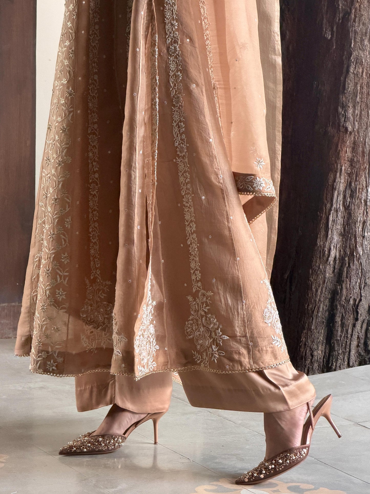 Beige Shade Noor Organza Chikankari Anarkali