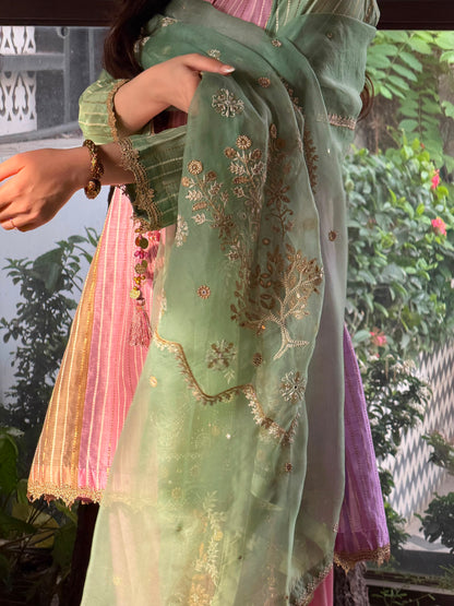 Multi Shade Kalidar Handloom Chikankari Farshi Sets
