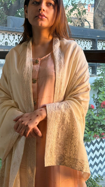 Natural Beige Shade Saman Pashmina Resham Thread Chikankari Shawl