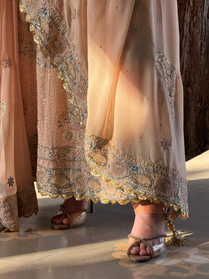 Tukdi Multi Colour Pure Georgette Chikankari Anarkali